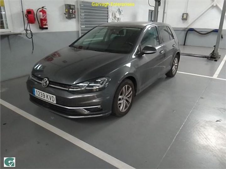 volkswagen golf 2019 wvwzzzauzkp059582