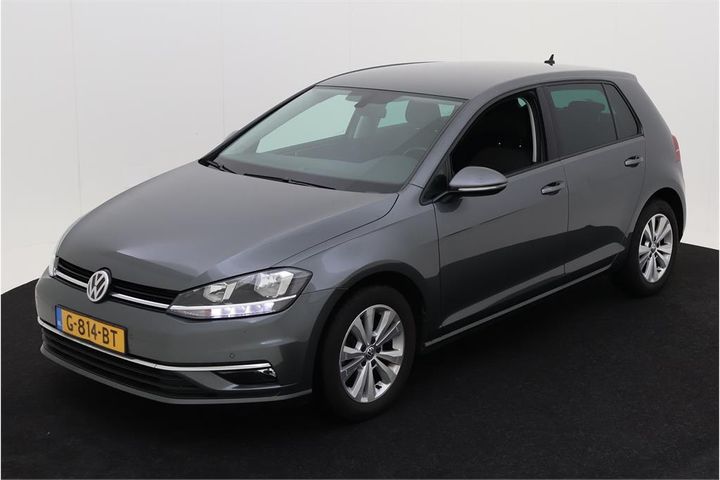 volkswagen golf 2019 wvwzzzauzkp084020