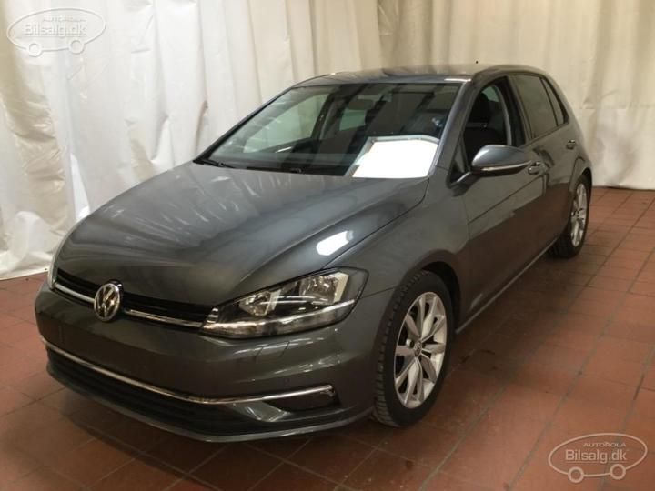 volkswagen golf 2019 wvwzzzauzkp086154