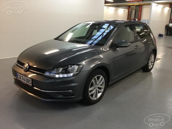 volkswagen golf 2019 wvwzzzauzkp089815