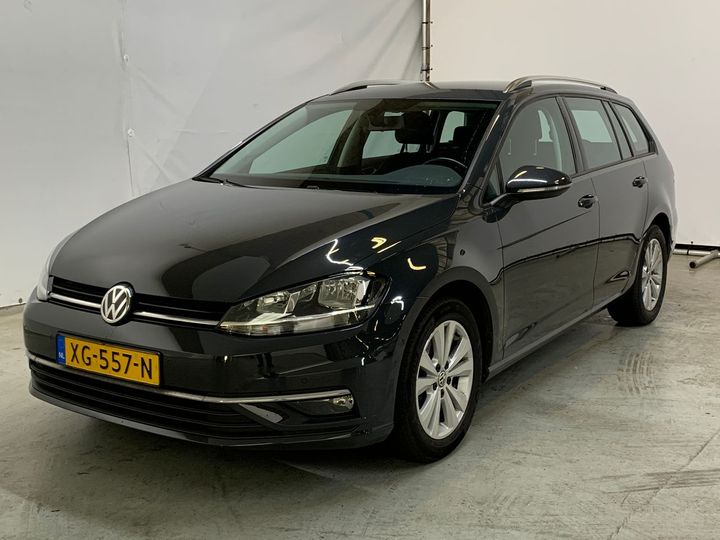 volkswagen golf 2019 wvwzzzauzkp537848