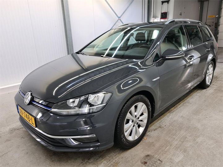 volkswagen golf 2019 wvwzzzauzkp541273