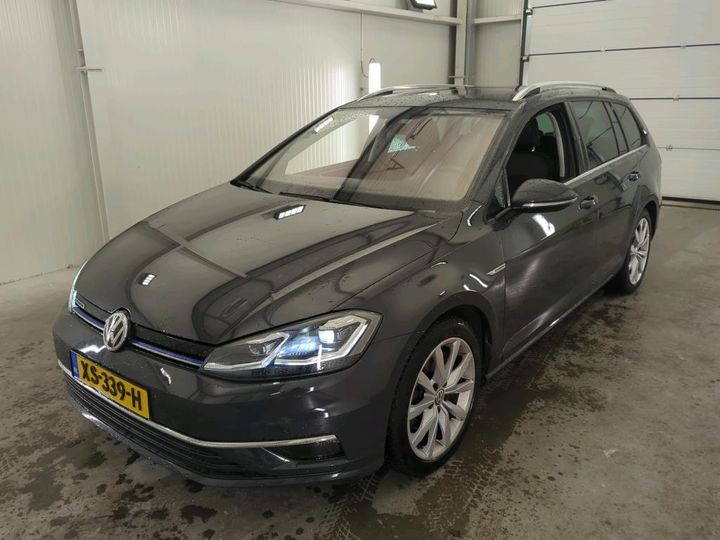 vw golf 2019 wvwzzzauzkp555290