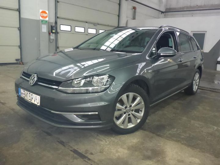 volkswagen golf 2019 wvwzzzauzkp560528