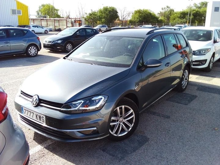 volkswagen golf 2019 wvwzzzauzkp562108