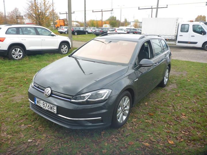 volkswagen golf 2019 wvwzzzauzkp566490