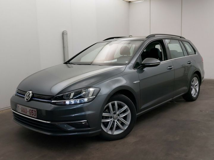 volkswagen golf 2019 wvwzzzauzkp568593