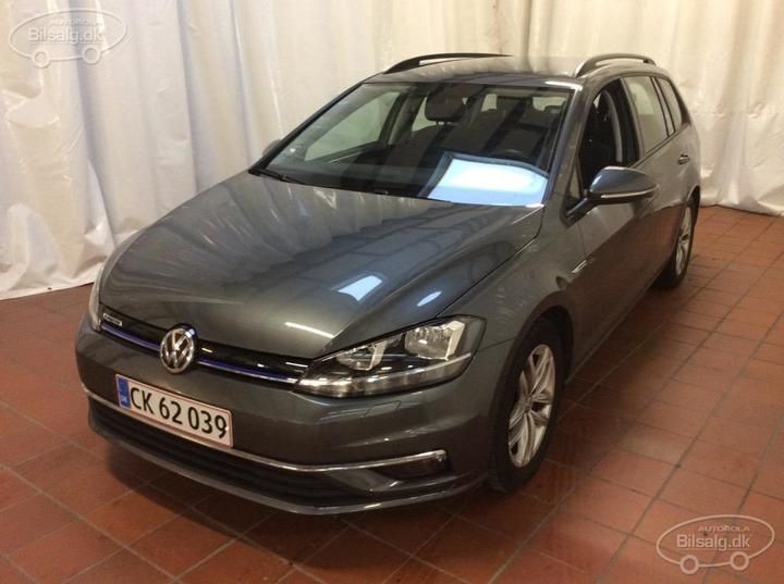 volkswagen golf 2019 wvwzzzauzkp572377