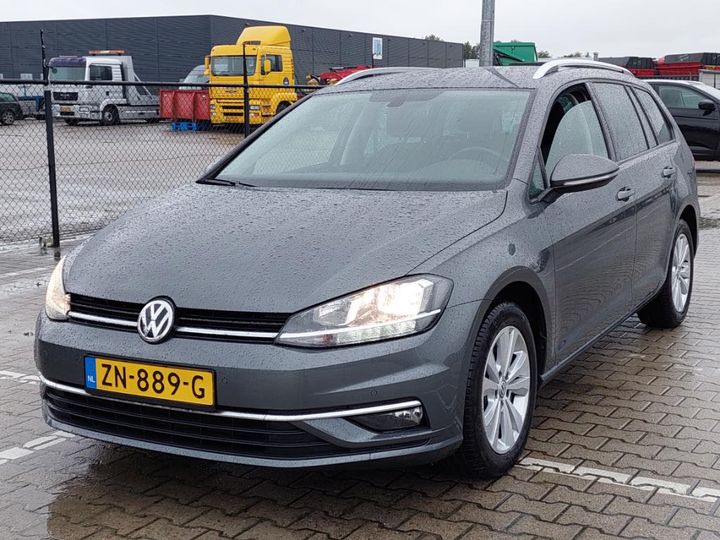 volkswagen golf 2019 wvwzzzauzkp580401