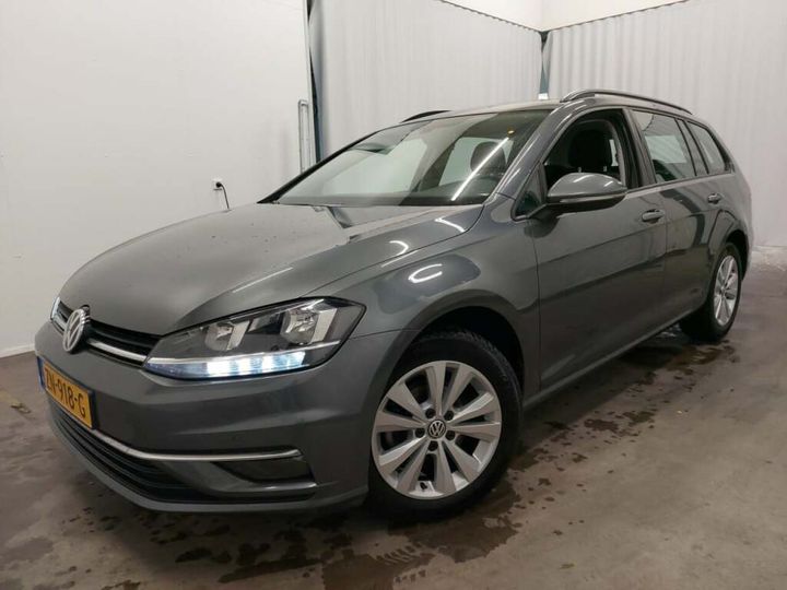 volkswagen golf 2019 wvwzzzauzkp584630