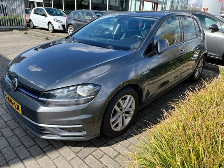 volkswagen golf 2019 wvwzzzauzkw027358