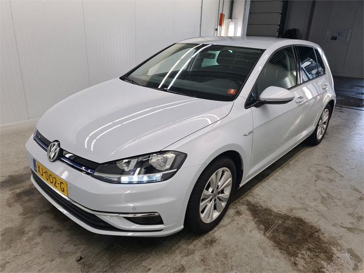 volkswagen golf 2019 wvwzzzauzkw060530