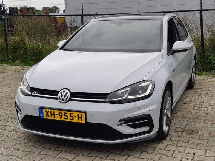 volkswagen golf 2019 wvwzzzauzkw062270