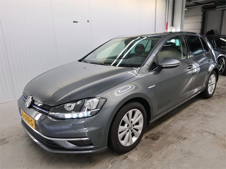 volkswagen golf 2019 wvwzzzauzkw085377