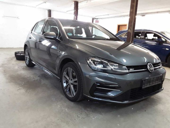 volkswagen golf 2019 wvwzzzauzkw094142