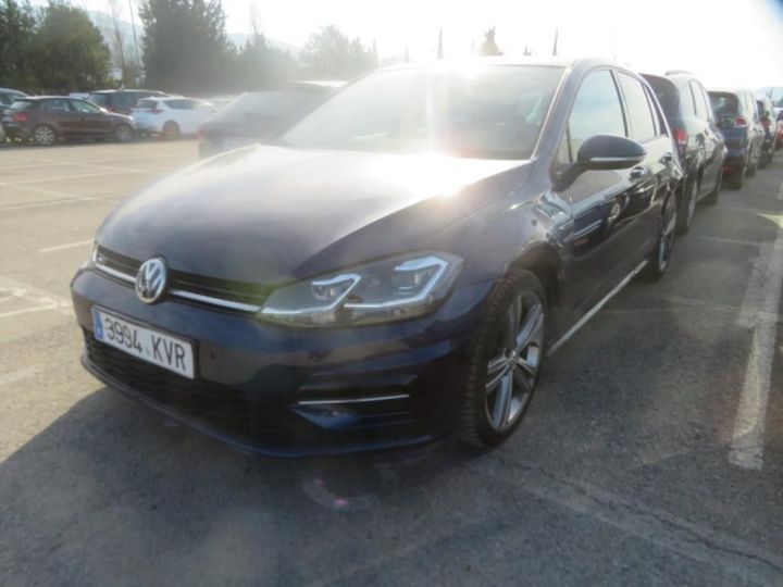 volkswagen golf 2019 wvwzzzauzkw130758