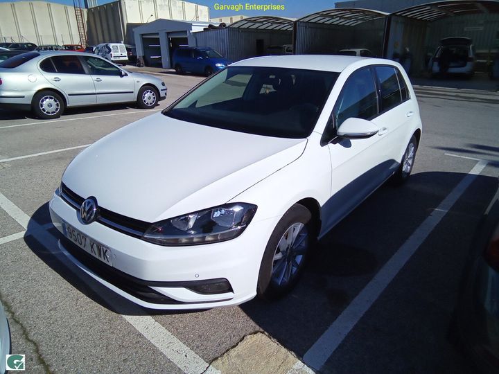 volkswagen golf 2019 wvwzzzauzkw145707