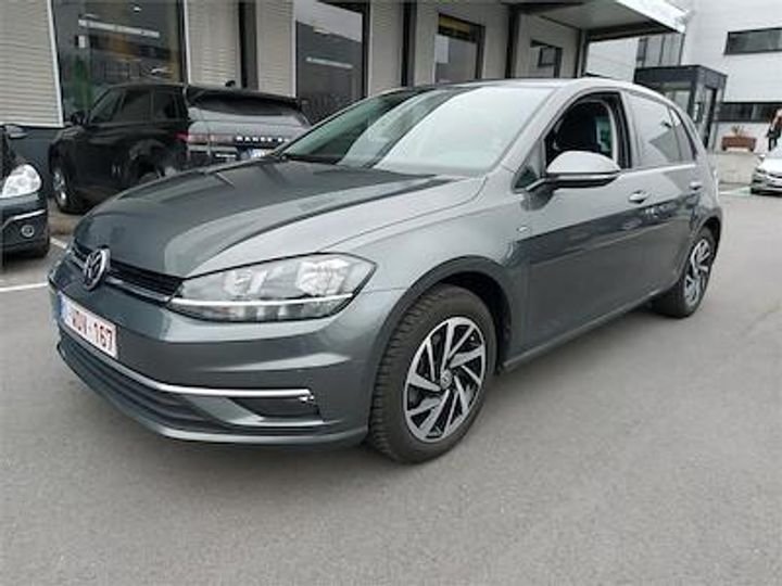 volkswagen golf 2019 wvwzzzauzkw159347