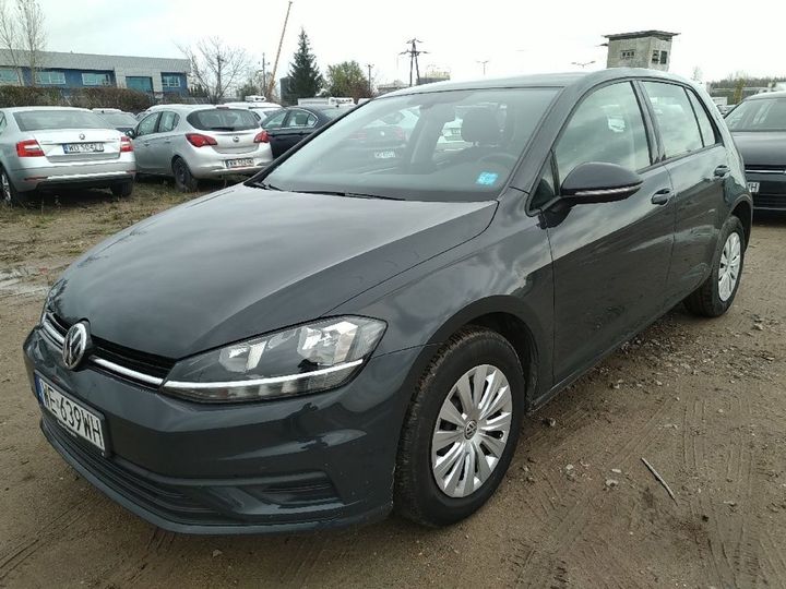 volkswagen golf 2019 wvwzzzauzkw169983