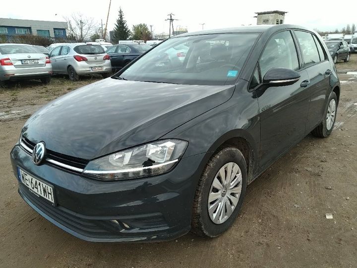 volkswagen golf 2019 wvwzzzauzkw171178