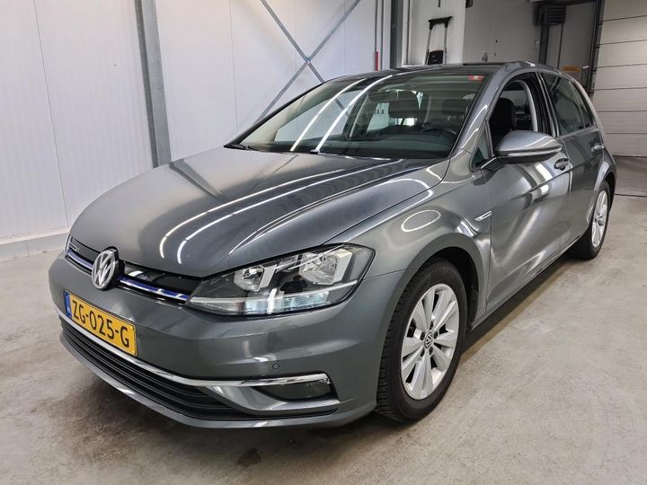 volkswagen golf 2019 wvwzzzauzkw186598