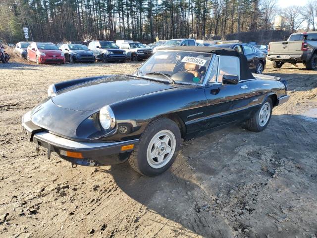 alfa romeo spider 1987 zarb05762h1055598