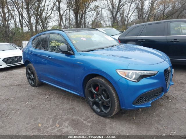 alfa romeo stelvio 2022 zaspakbn2n7d42412