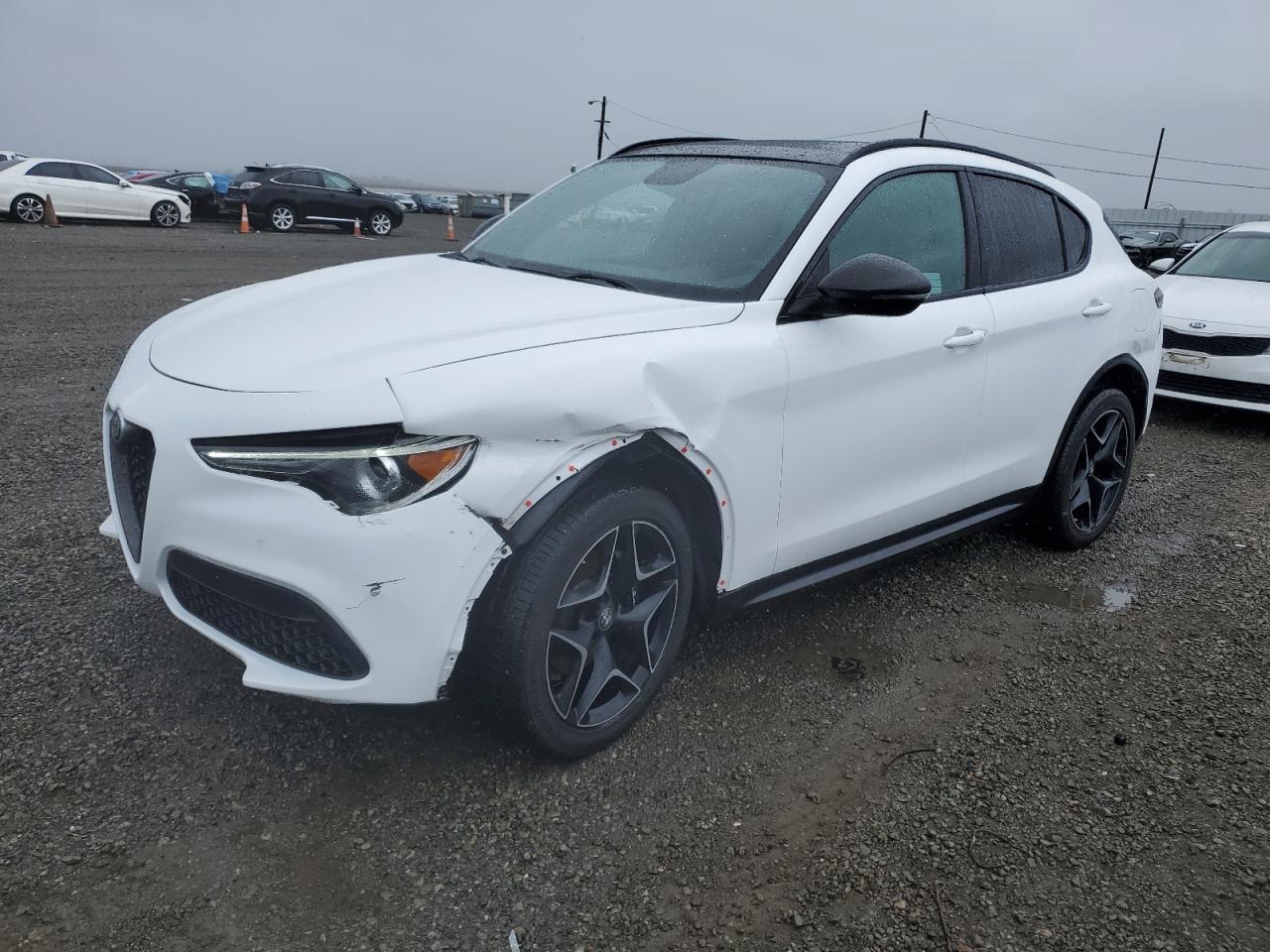 alfa romeo stelvio 2019 zaspakbn3k7c71300