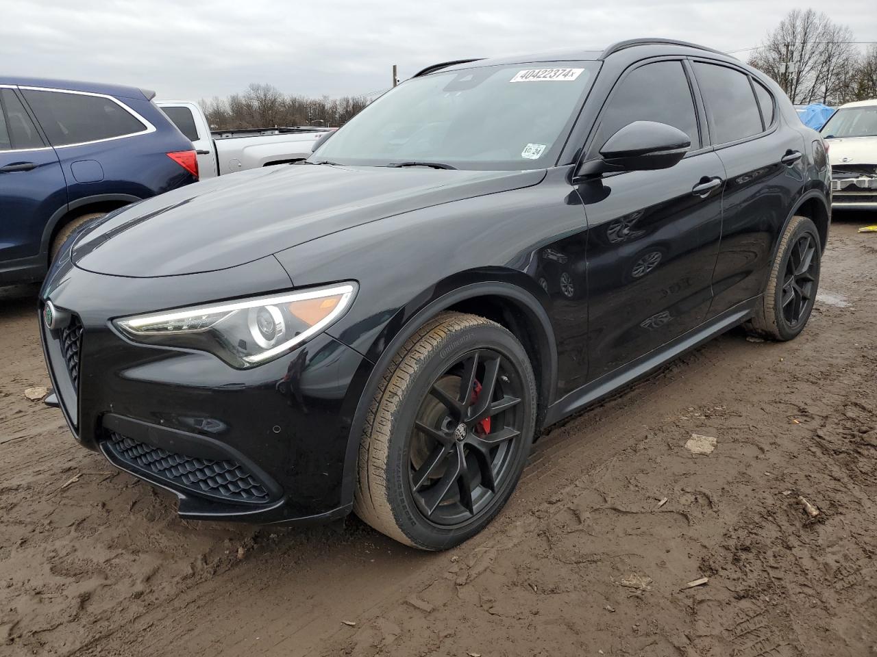 alfa romeo stelvio 2019 zaspakbn4k7c49676