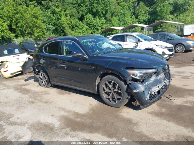 alfa-romeo stelvio 2019 zaspakbn9k7c44411