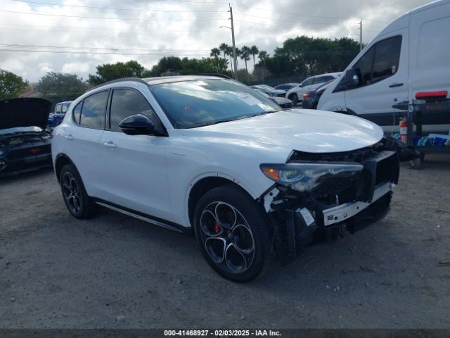 alfa romeo stelvio 2024 zaspakbn9r7d74084